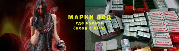СК Михайловск