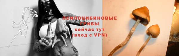 СК Михайловск
