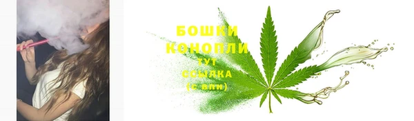 СК Михайловск
