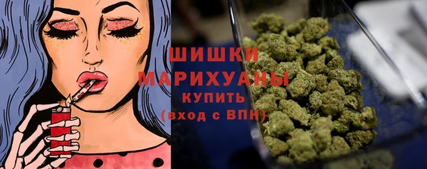 ПСИЛОЦИБИНОВЫЕ ГРИБЫ Медвежьегорск