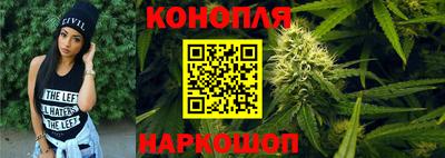 гашик Бийск