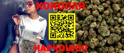 гашик Бийск