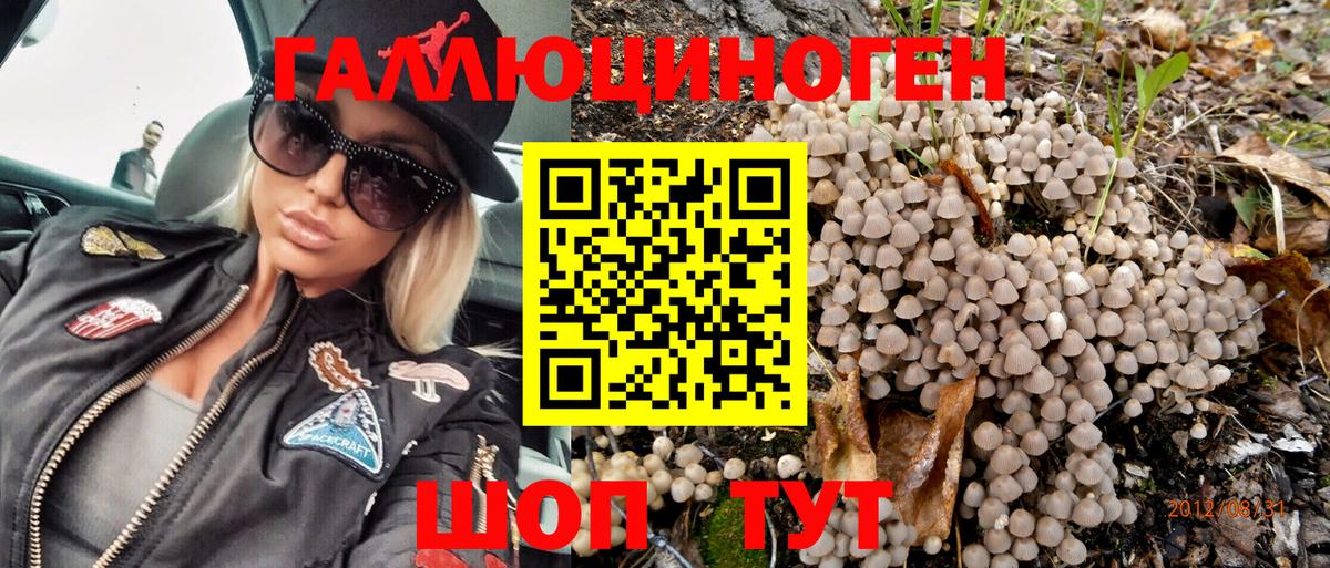 Галлюциногенные грибы Psilocybe  Галлюциногенные грибы Cubensis  Вход с VPN  Минусинск 